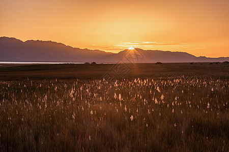 大西北荒野的日落背景图片