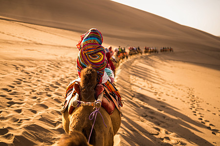 沙漠骆驼扁平敦煌鸣沙山月牙泉背景