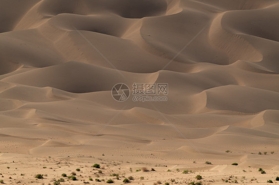 沙漠细节纹理图片