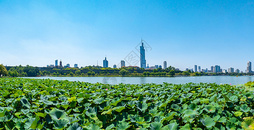 南京玄武湖夏日城市天际线图片