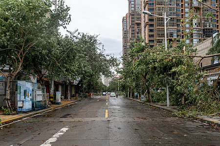 台风过后的街道图片