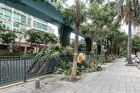 台风过后的街道背景