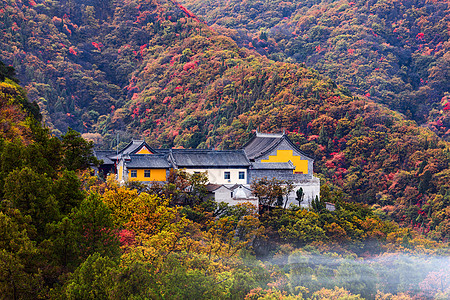 金红色照金香山秋景背景