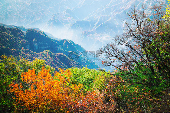 少华山秋景图片