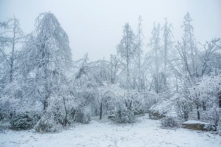 冬季的庐山雪景图片