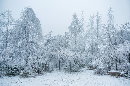 冬季的庐山雪景背景图片