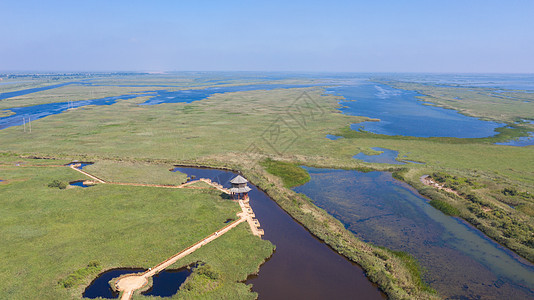 黄河入海口国家湿地公园图片