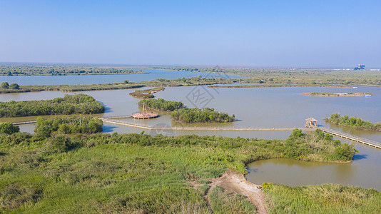黄河入海口国家湿地公园高清图片