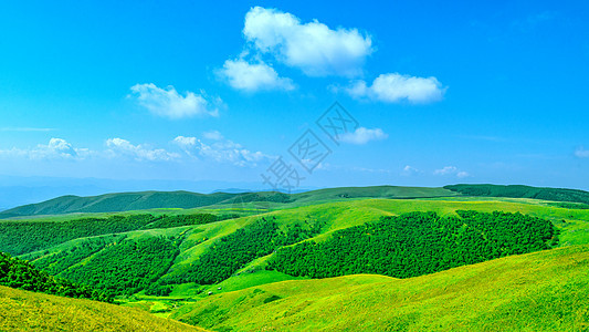 内蒙古辉腾锡勒草原秋季户外旅游背景图片