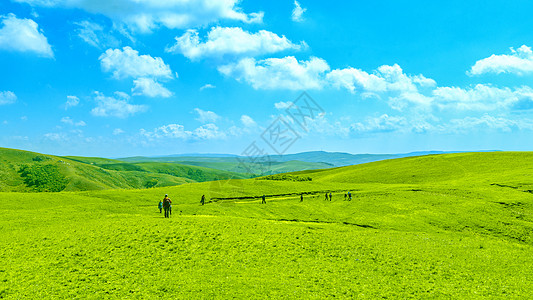 草原秋季风景内蒙古辉腾锡勒草原秋季户外旅游背景