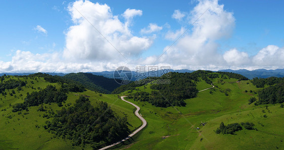 宝鸡关山草原图片