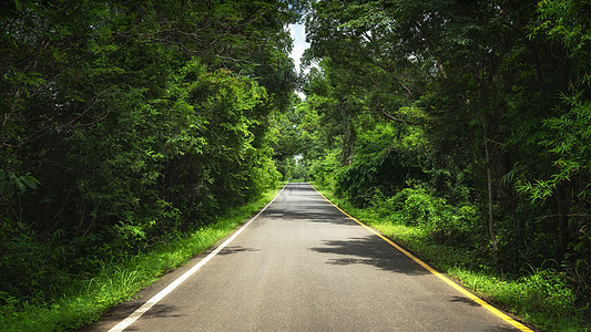 森林道路公路图片