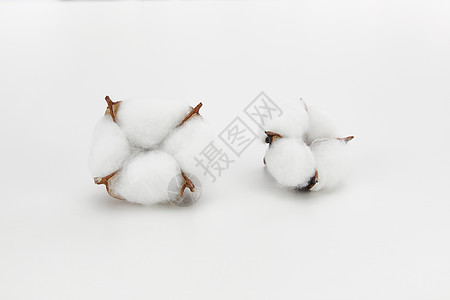 白色桌面上的棉花图片