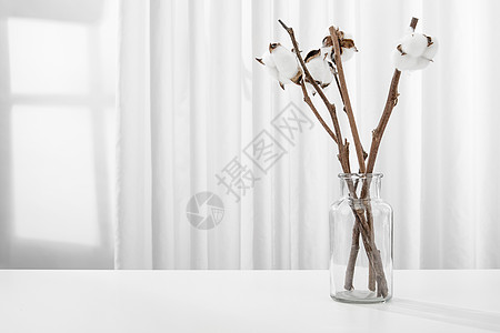 白色桌面上的棉花插花场景高清图片