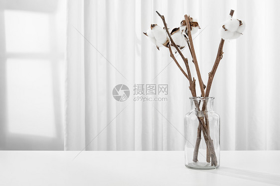 白色桌面上的棉花插花场景图片
