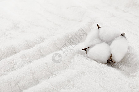 白色毛巾上的棉花背景图片