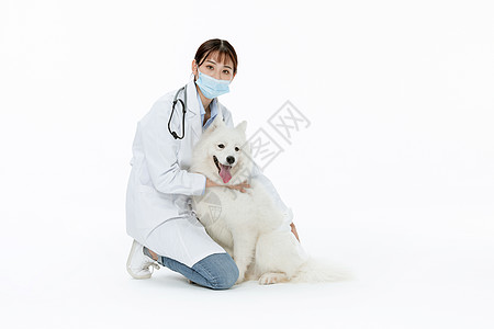 宠物医生与宠物萨摩耶相伴高清图片