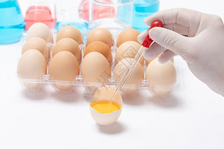 转基因鸡蛋科研培育图片