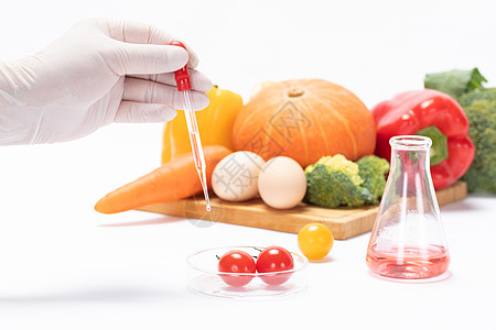 食品安全管理制度转基因小番茄科研培育背景
