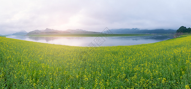 绿江山水油菜花田图片