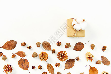 秋季落叶和棉花背景图片