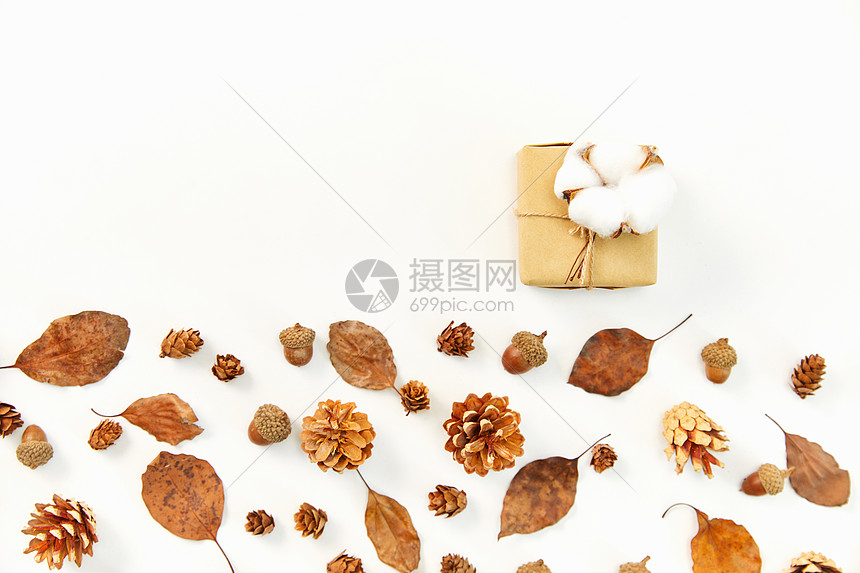 秋季落叶和棉花图片