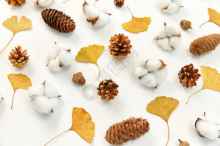 棉花和松果组合秋季落叶和棉花背景