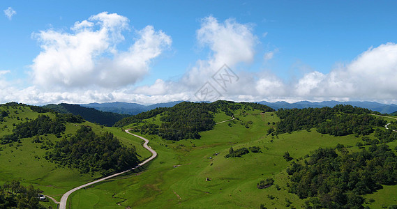 宝鸡陇县关山草原图片