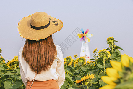 花海插画钱仓向日葵花海里人物背影图背景