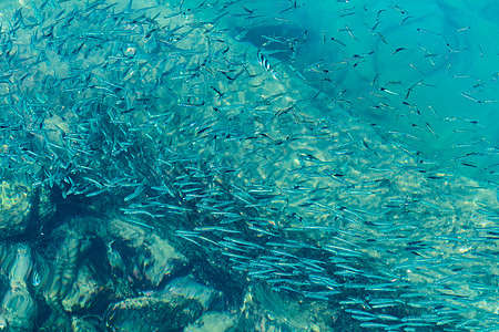 透明海水背景 透明海水摄影图片 透明海水壁纸 摄图网 透明海水背景 透明海水摄影图片 透明海水壁纸 摄图网