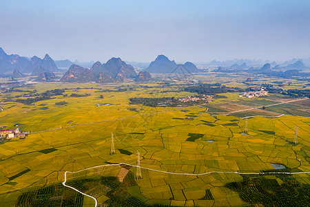 桂林秋天航拍秋天的金色稻田背景