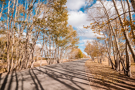 内蒙草原的秋天背景图片