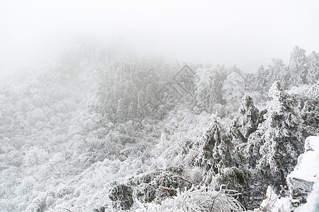 长白山森林雪景图片