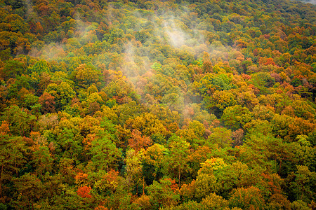 云雾缭绕的紫金山南麓秋色图片