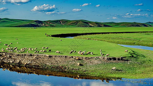 呼伦贝尔草原河边放牧的牛羊图片