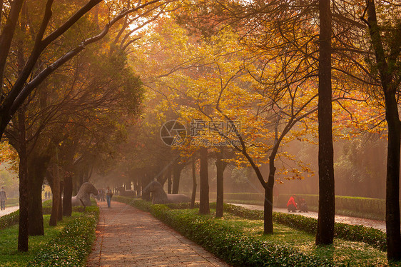 南京明孝陵石像路神道秋色图片