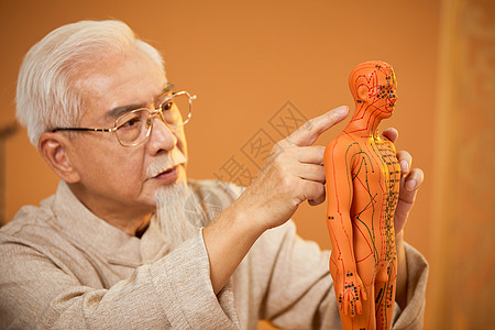 老中医形象看人体模型形象图片