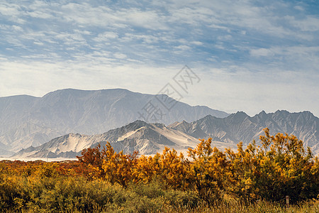 青海省海西格尔木秋景背景图片