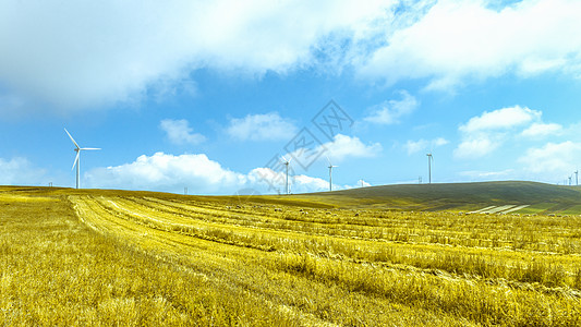 黄色风车内蒙古凉城县秋季莜麦熟了背景