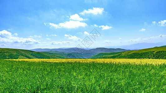 蓝色山脉内蒙古秋季田园耕地景色背景