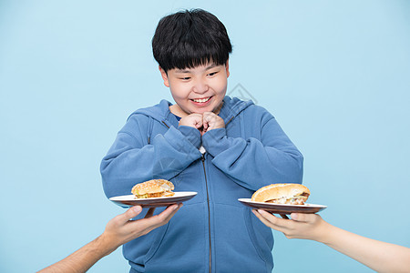 爱吃汉堡的男孩肥胖的小孩图片