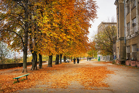 乌克兰敖德萨东欧晚秋风景图片