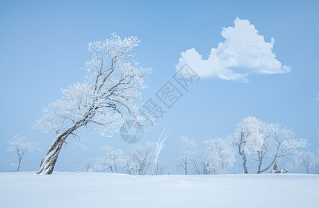 吉林亚龙湾群景区冬天雾凇树挂风景背景