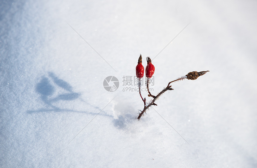 冬天冰面雪花素材图片