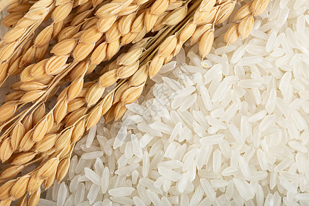 稻穗和长粒香大米图片