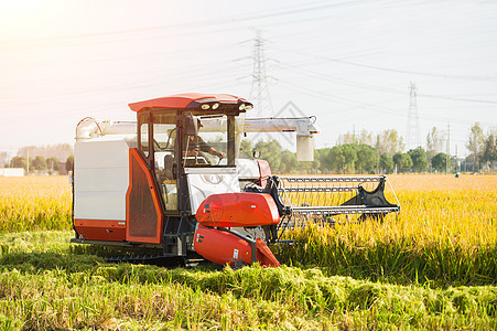 农民驾驶收割机收割水稻背景图片
