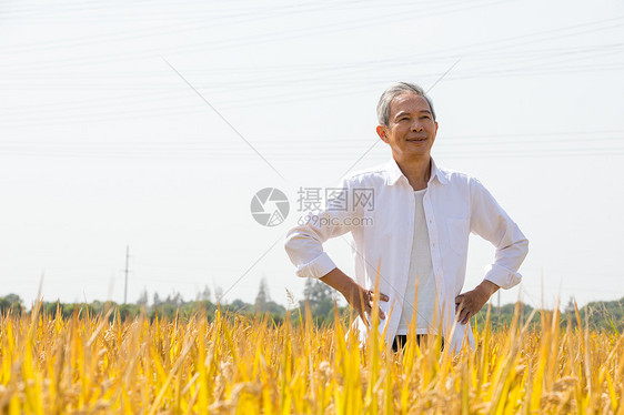 双手叉腰的农民形象图片