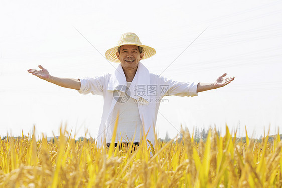 站在田里张开双手的农民形象图片