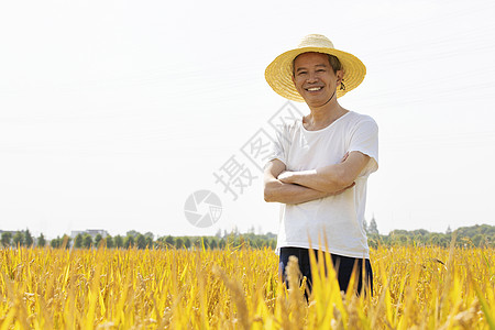在稻田里抱胸的农民形象图片