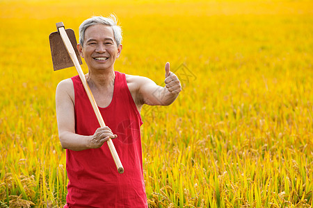 秋季丰收扛着锄头点赞的农民形象图片